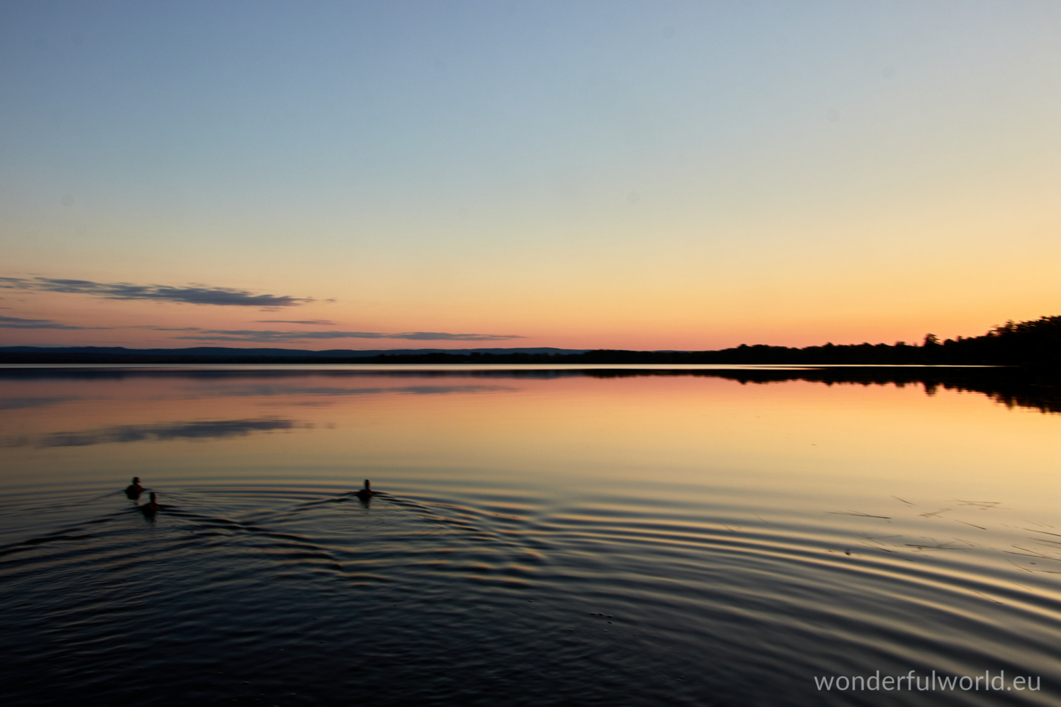 Ducks at Golden Lake sunset