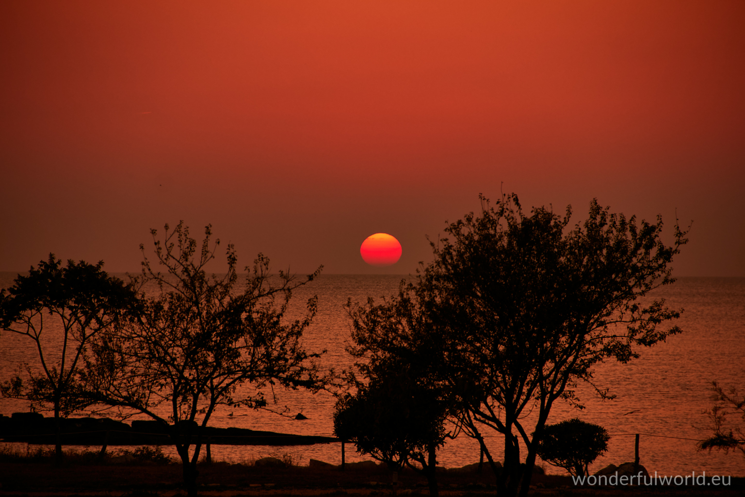 sunset