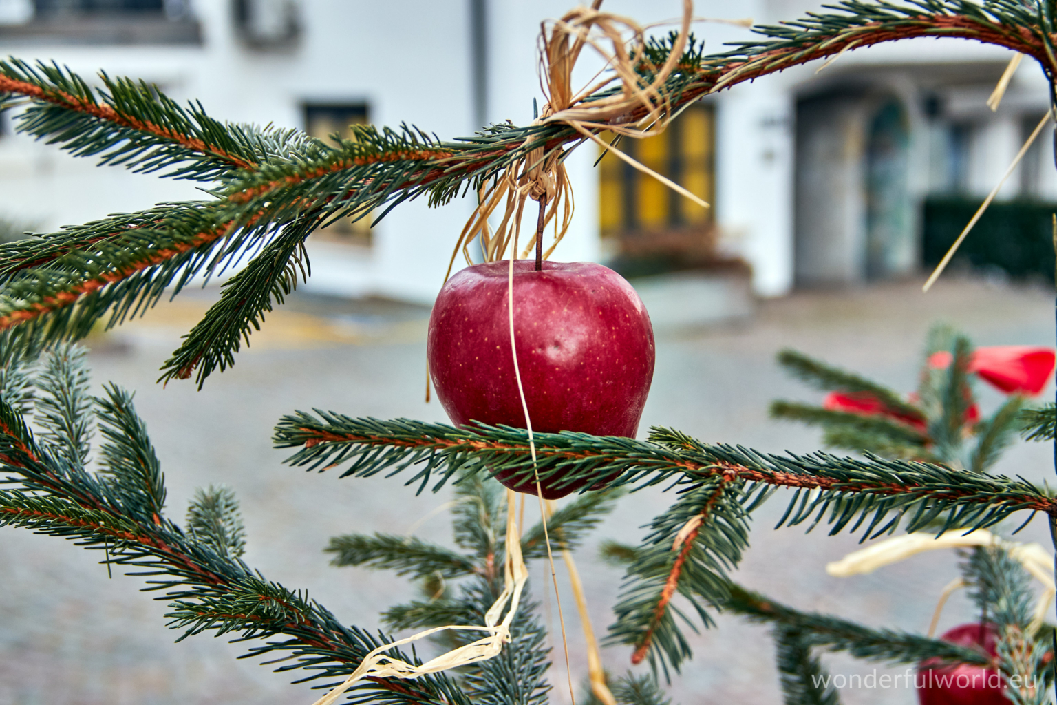 Chrismas Apple