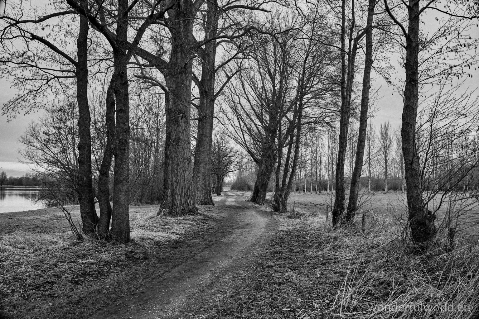 Path at the lake