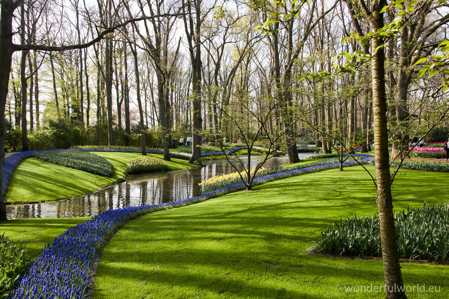 Parkscape